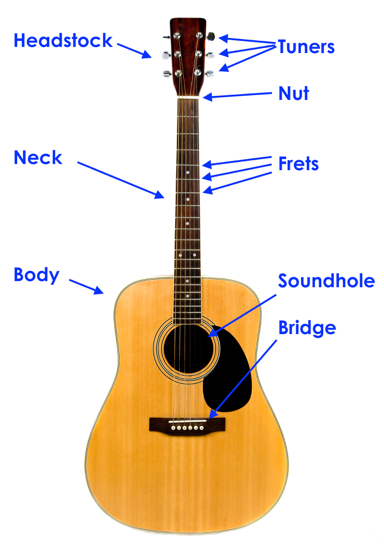 the parts of the guitar